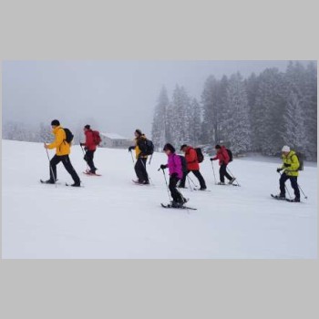20180218-Schneeschuhwanderung Arvenbuel-20180220_102343-small.jpg